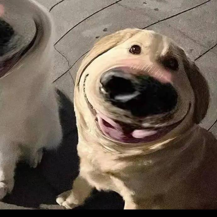 窜天猴(视频号）