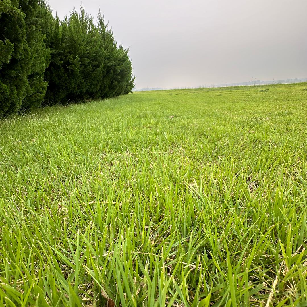 ꧁孤酒Ψ心醉人꧂