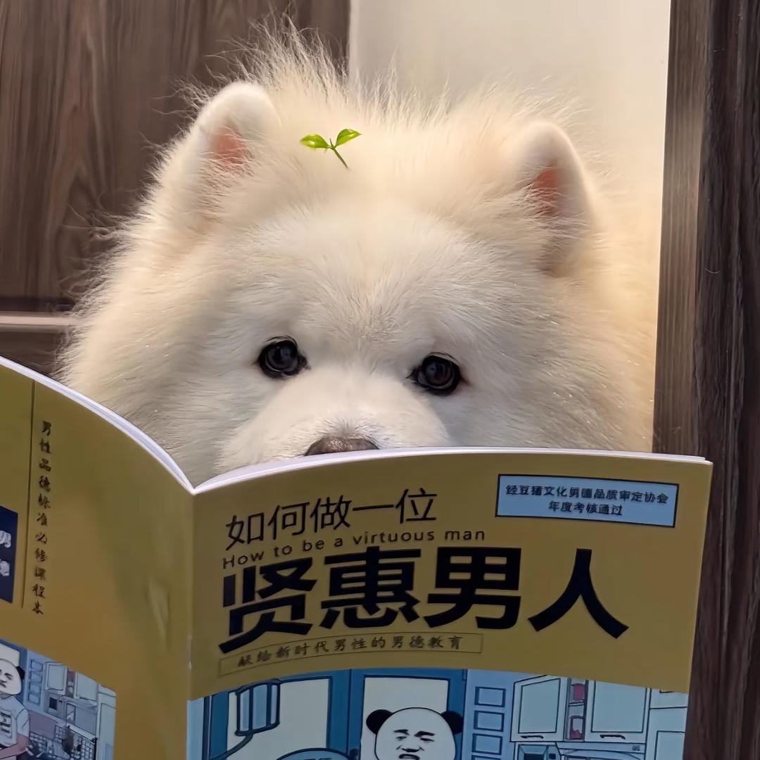 缅甸进贡白玉砖