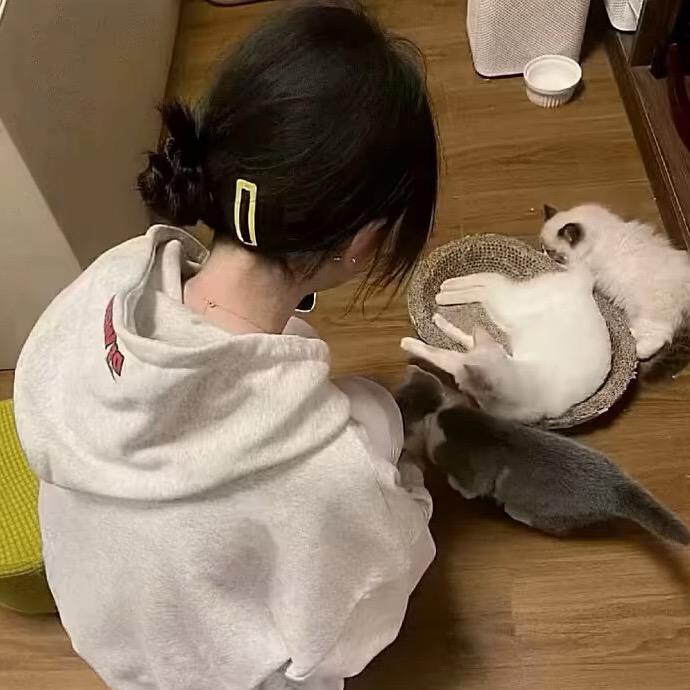怀抱