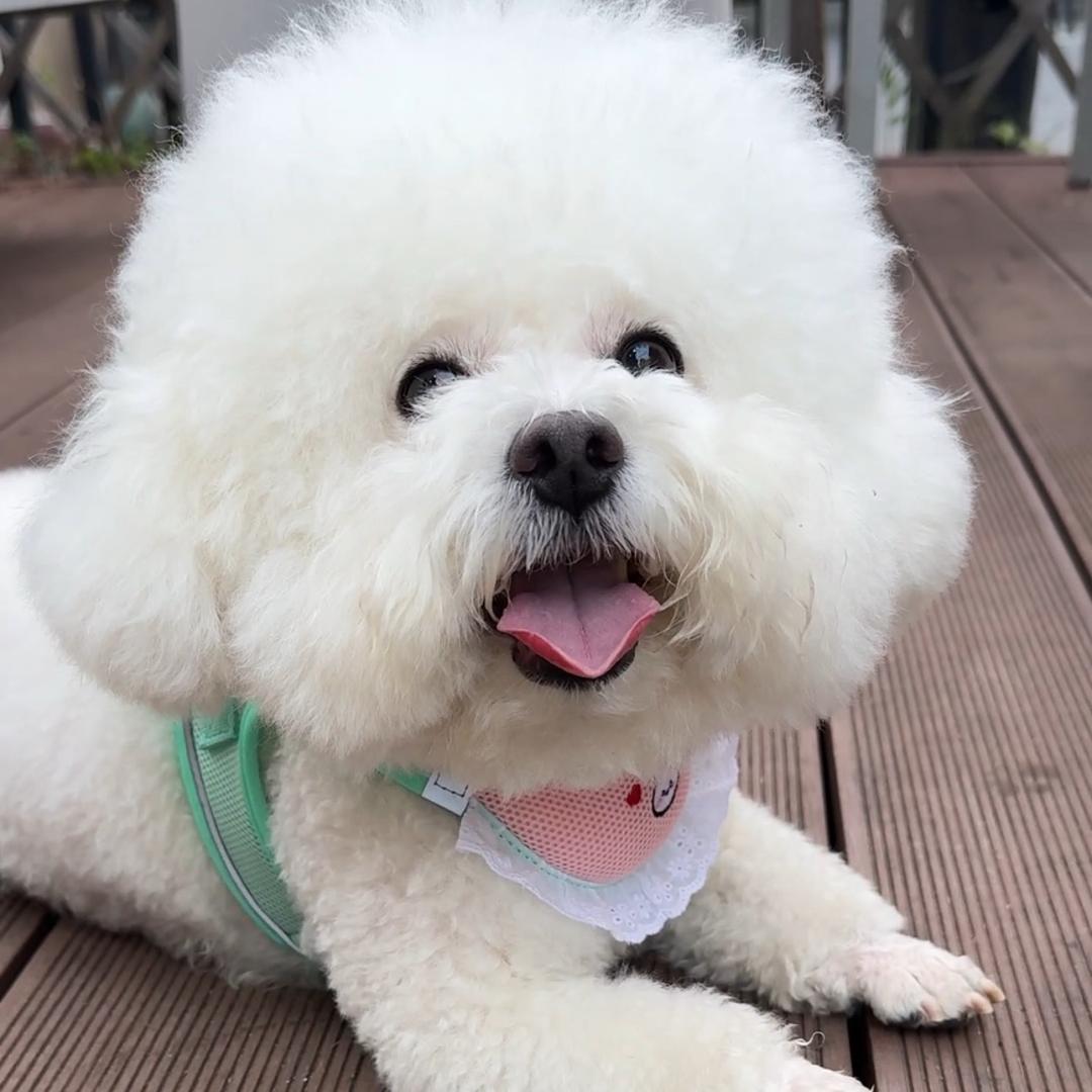 nono超乖的