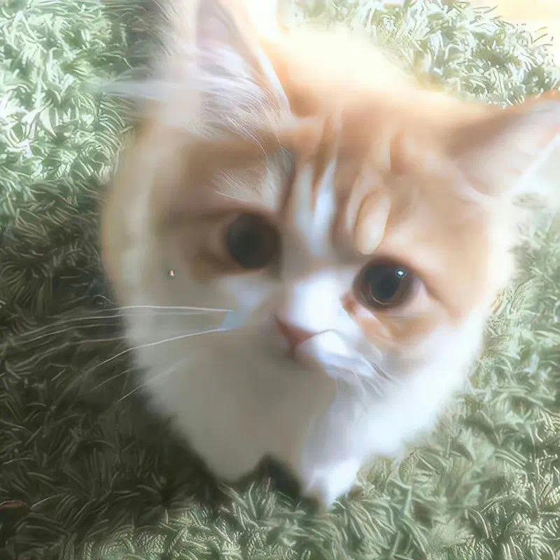 嘻嘻