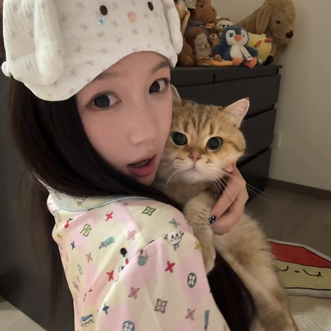 圆圆不圆