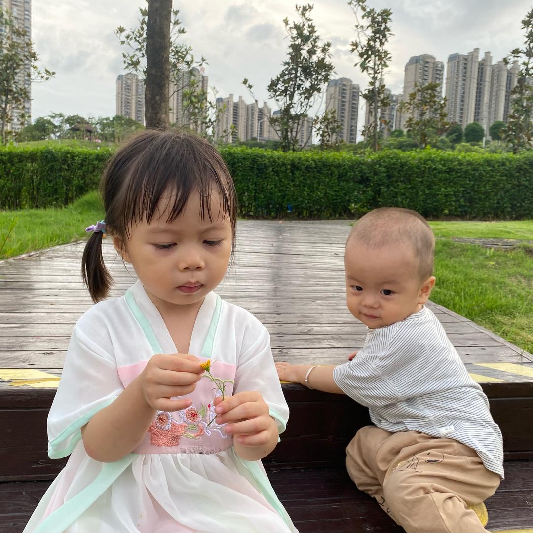 电网奇才乔家女将头像