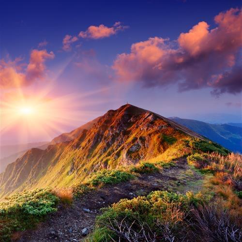 是刘立君吖（飞利浦照明）