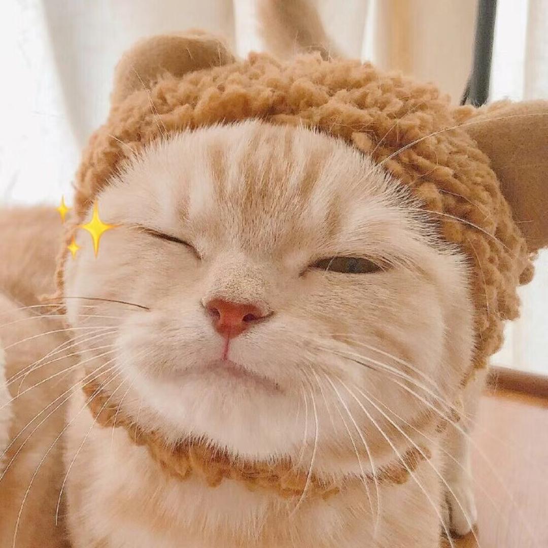 小V