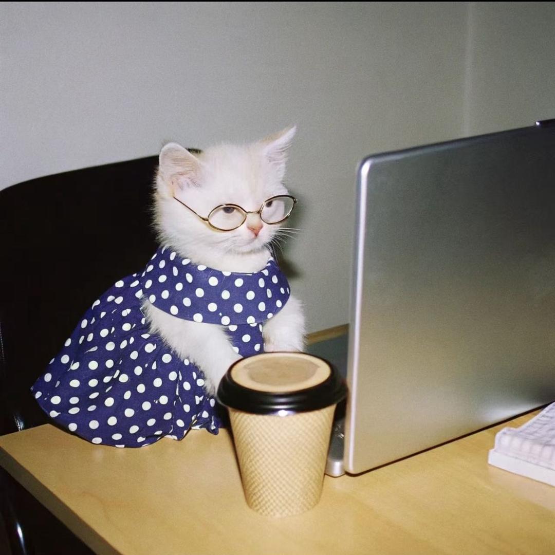 纳尼研究院院长