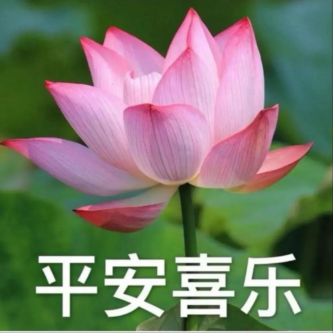 平安是福