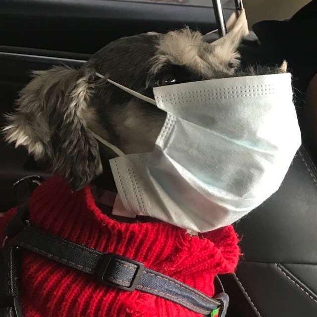 永久陪伴