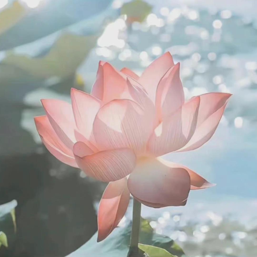 珞 玥