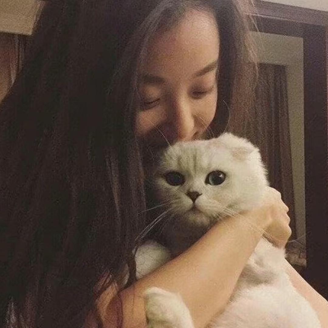 悲伤奶盖🍼