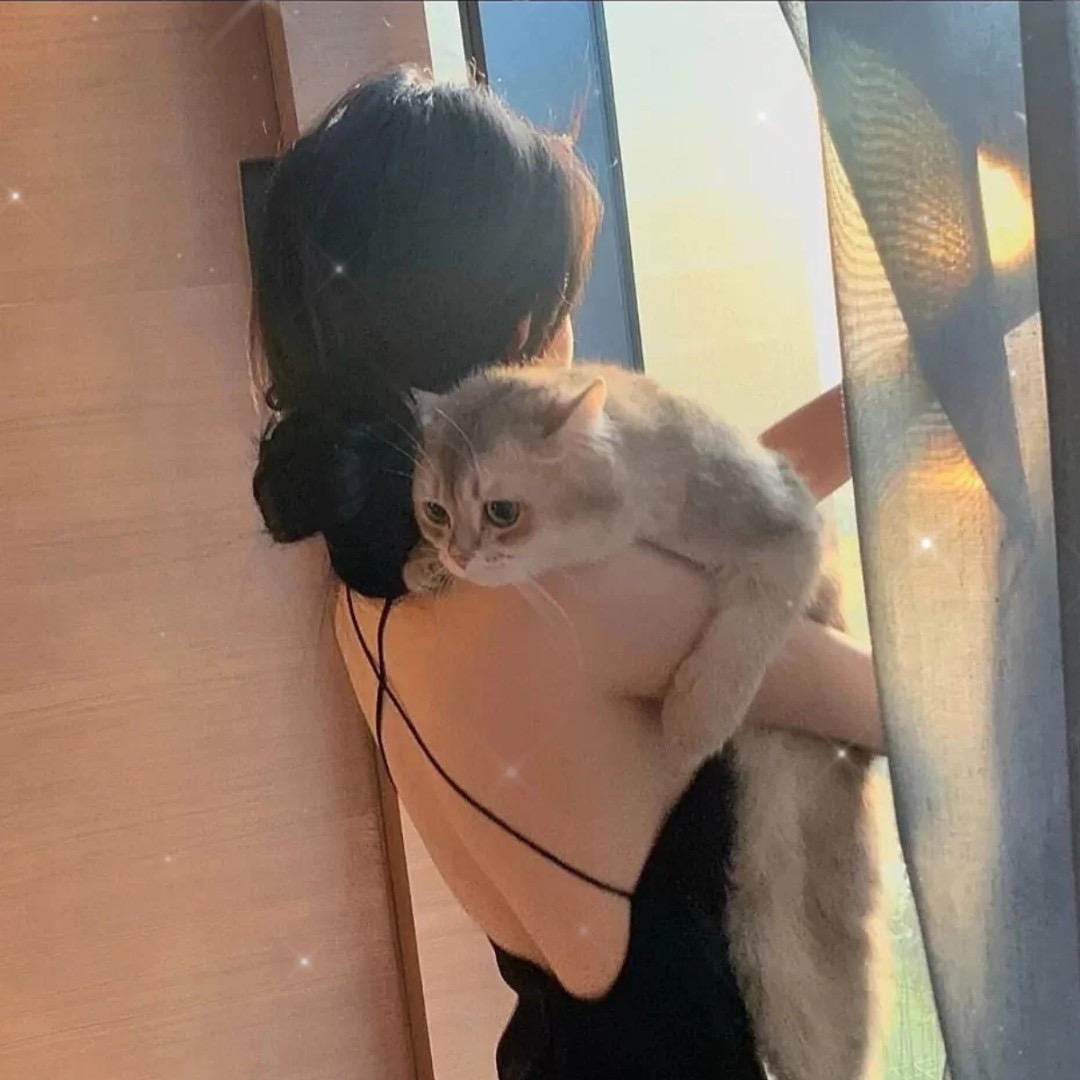 凌晨一点的猫の
