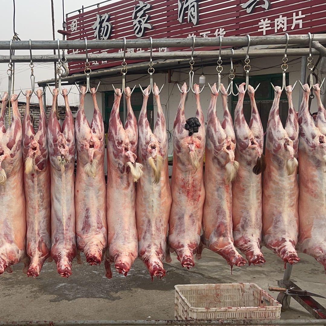 临邑县沙河杨家清真灌汤包