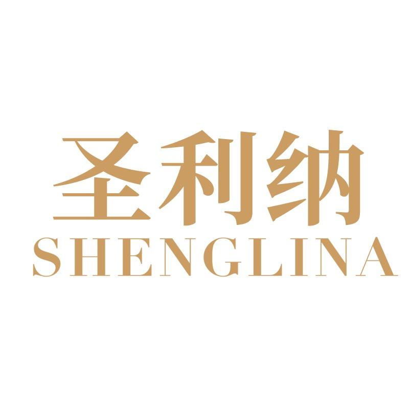 圣利纳影音