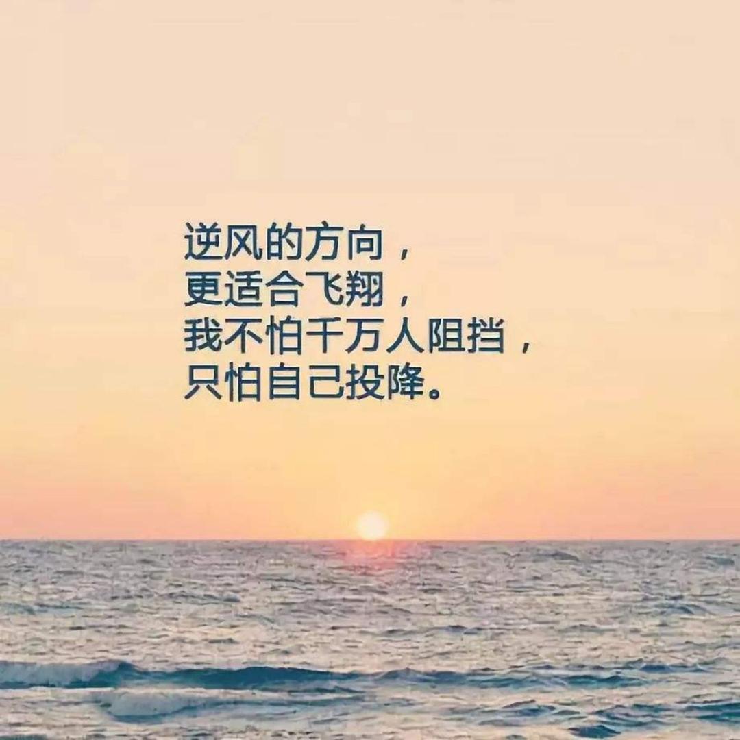 Excel零基础