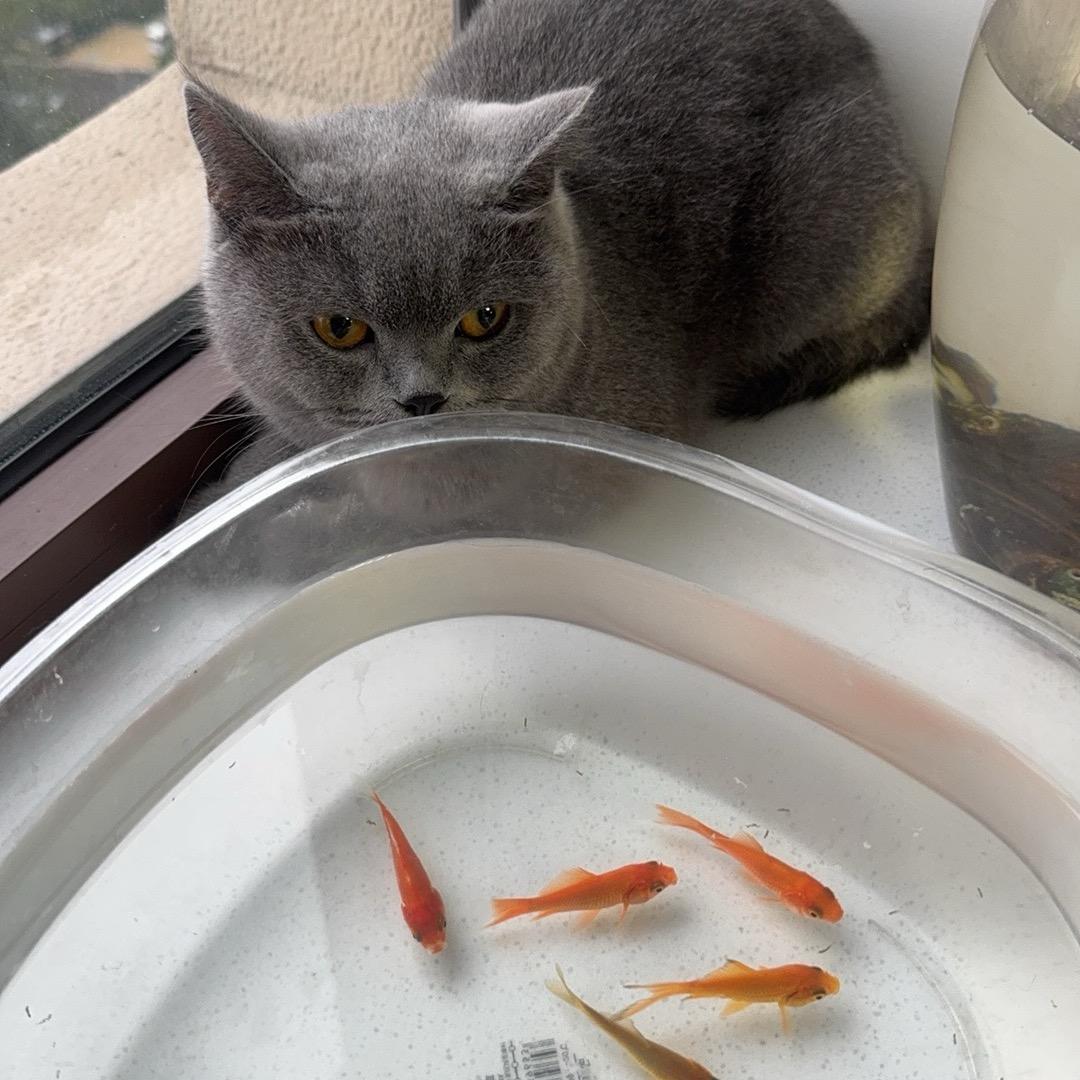 💞᭄꯭俗人ོꦿ💕ꦿ