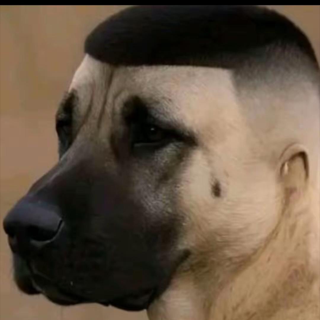 遥控器