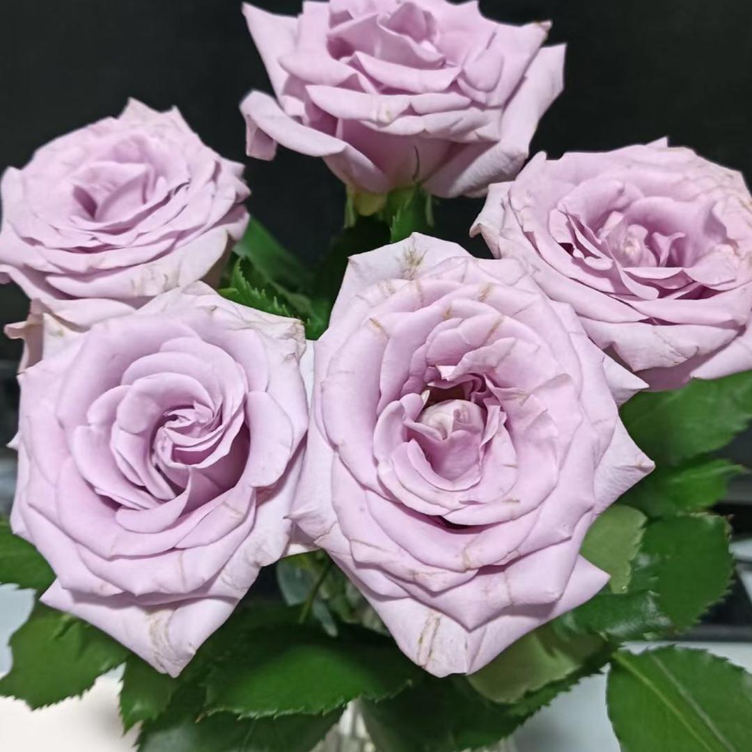 罗定我们都是大家