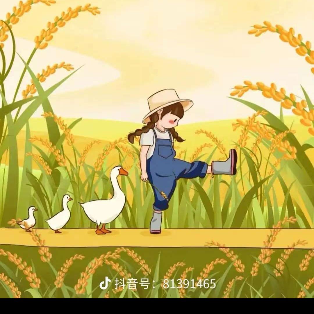 小 马 哥