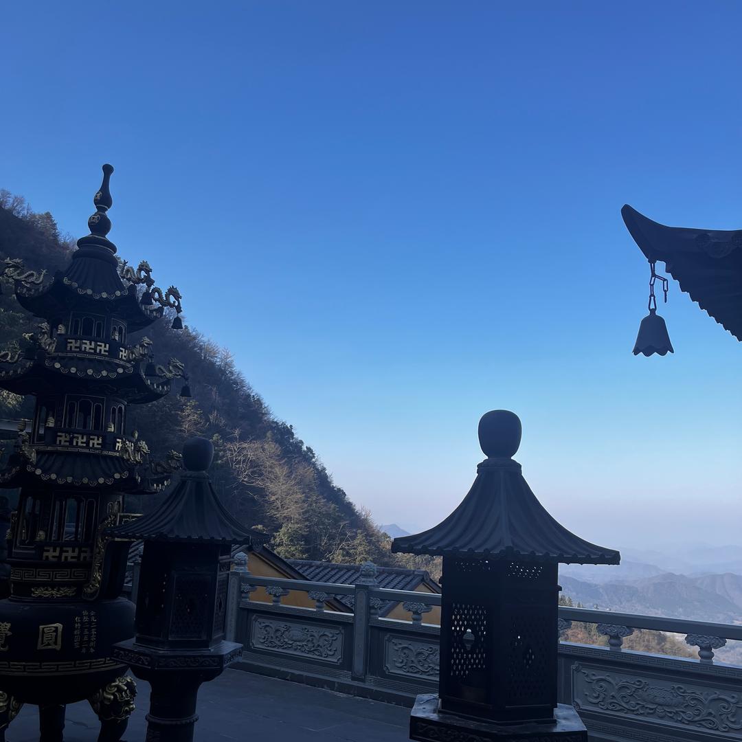 愿