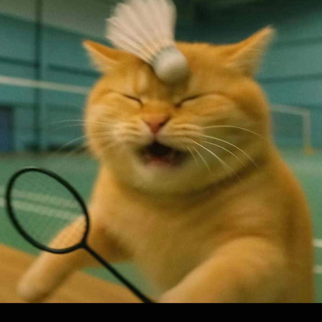 那个小高哪里好