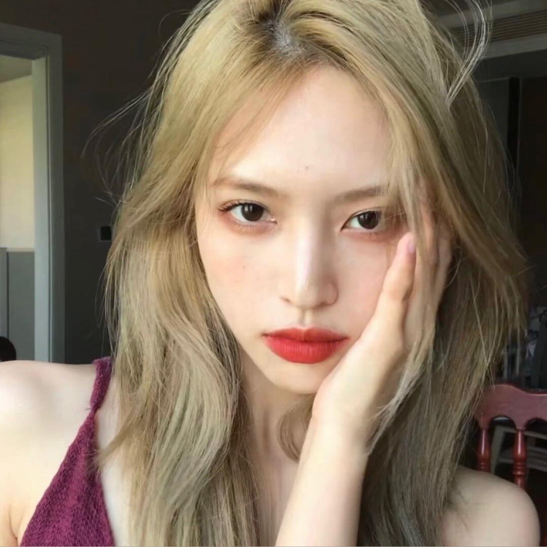小杨花猪