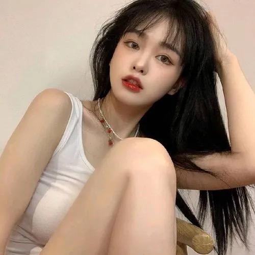 黌鷸䬗灣……•·
