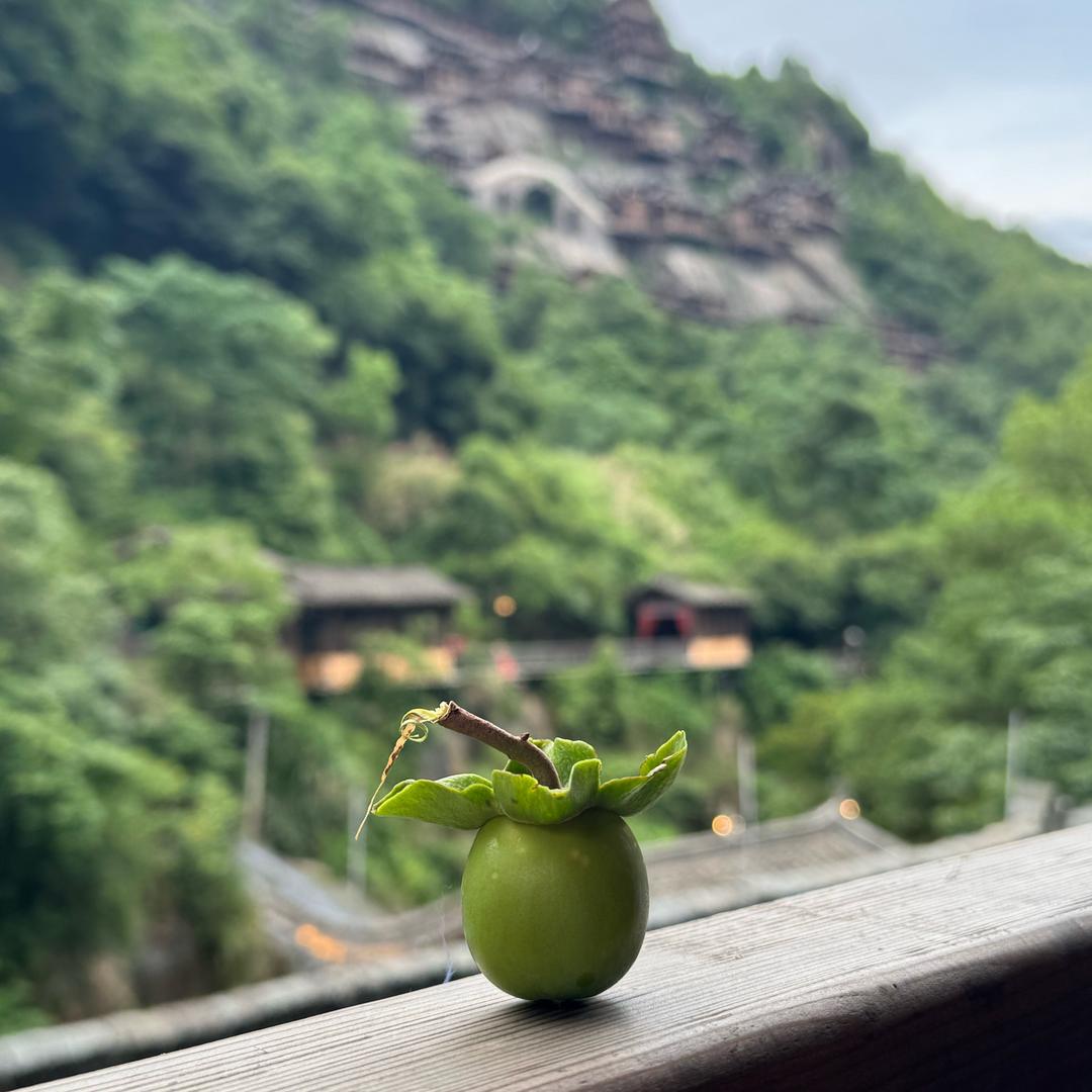善融🍀