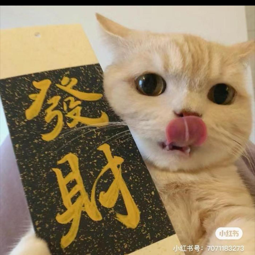 此号被风了在阳仔哟12