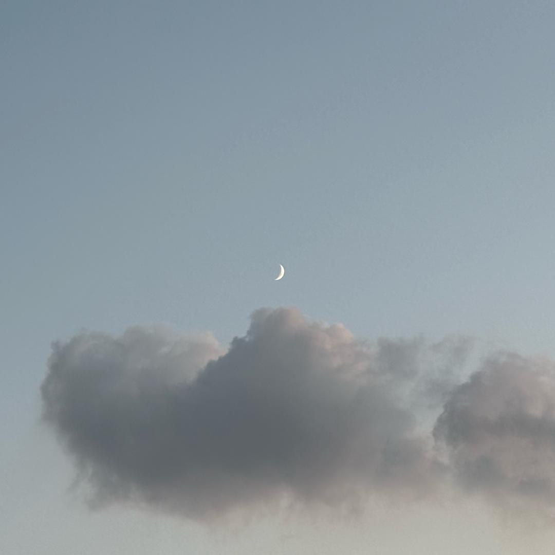 蛋挞好吃但是很烫（出捏版）