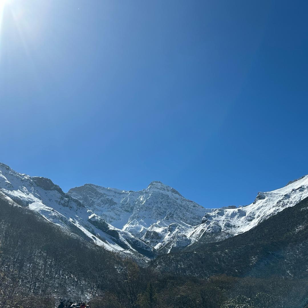 一路长红🚩