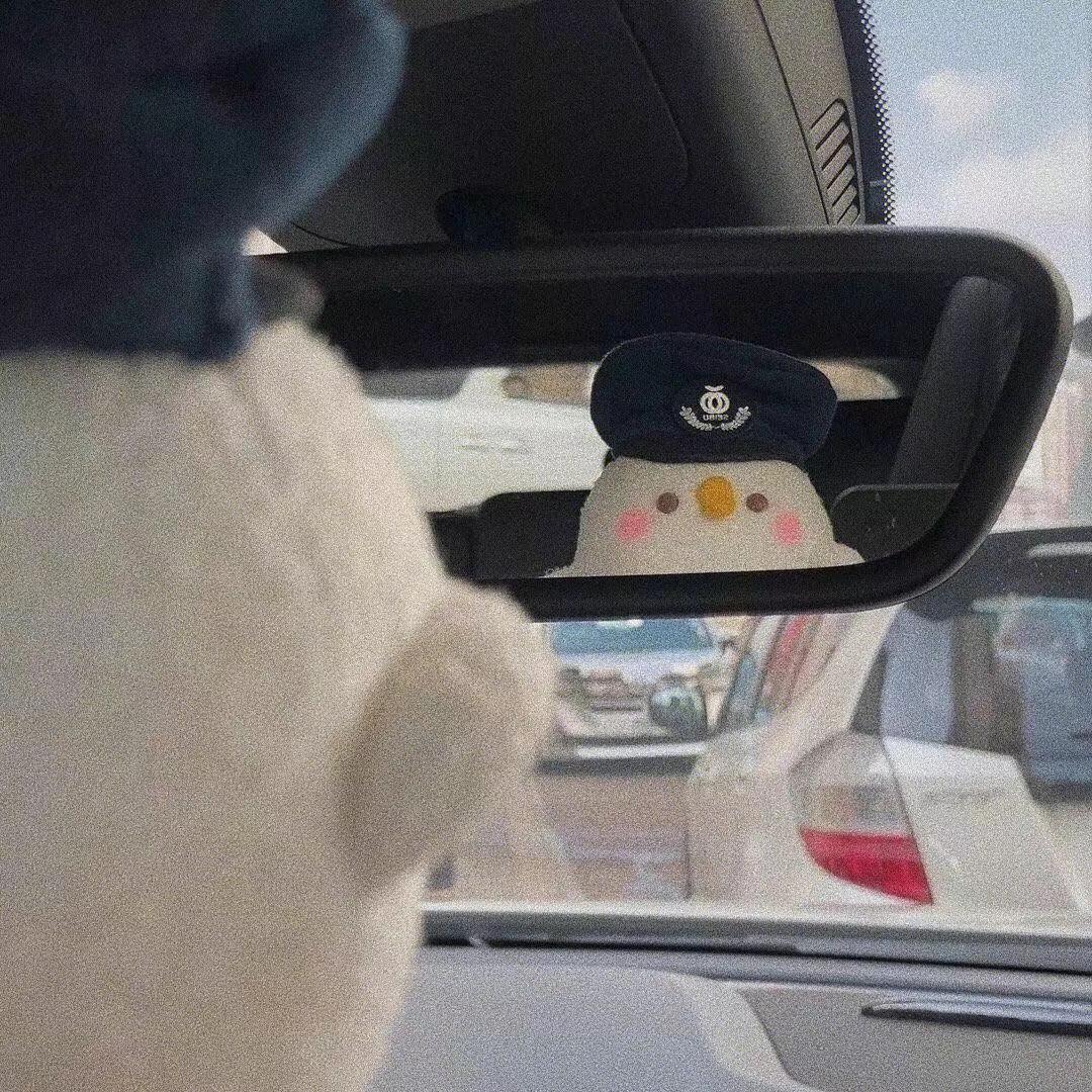 还有冬瓜