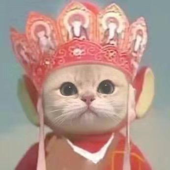 聪聪