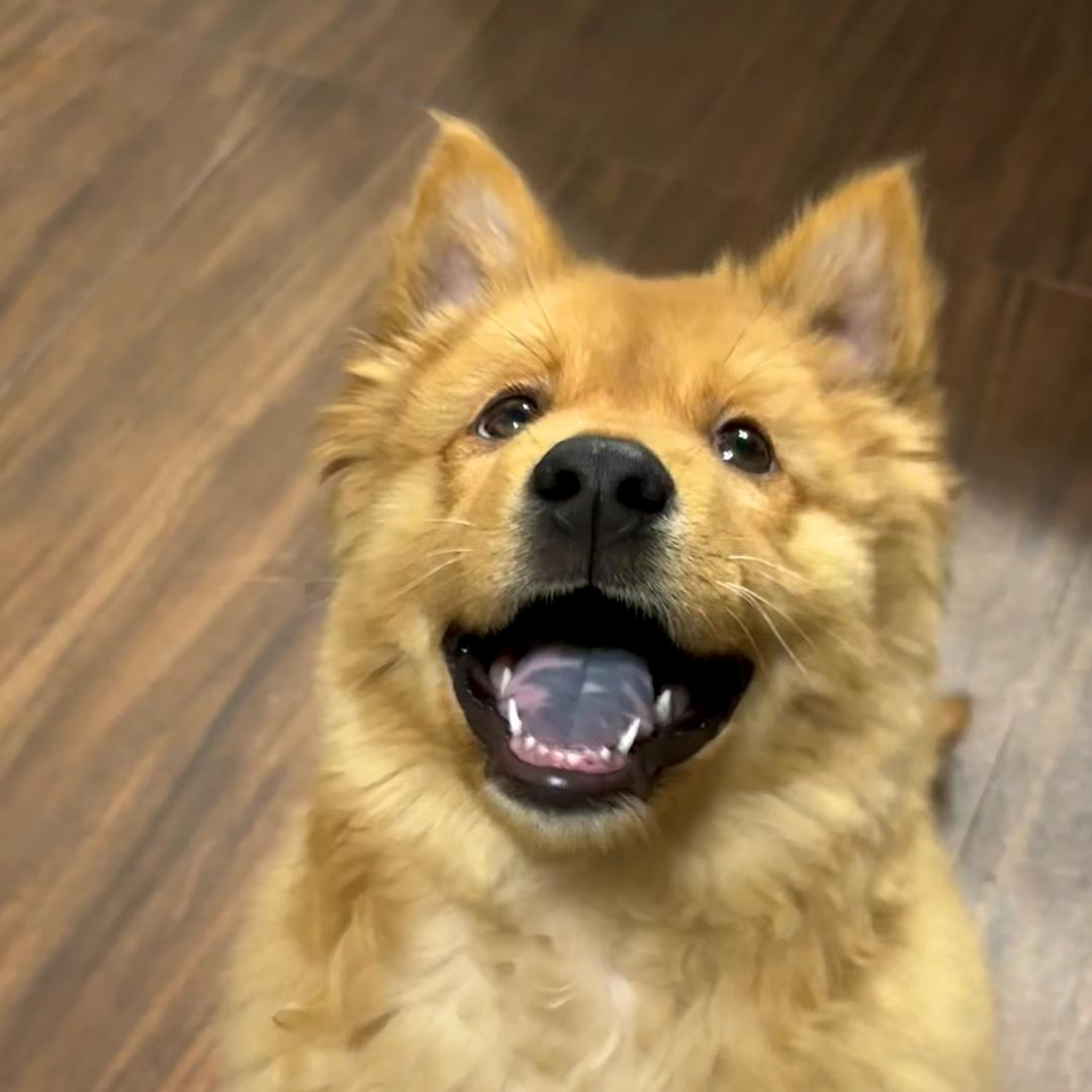 财财财财财来财