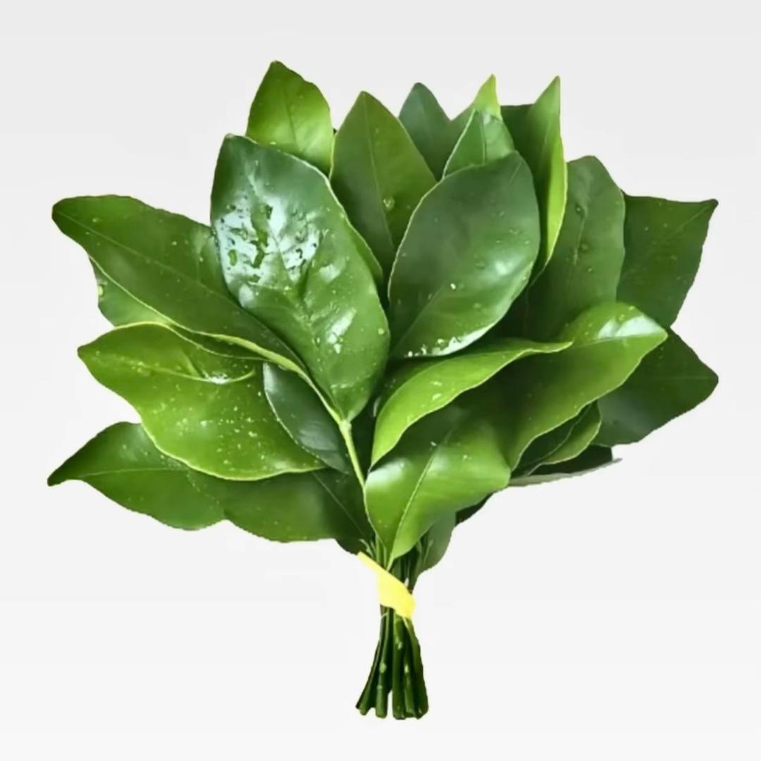 八卦街道办临聘人员