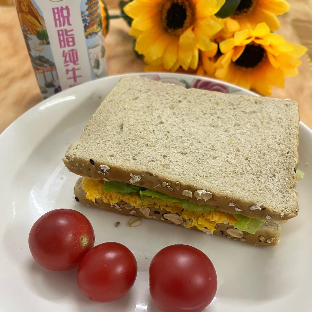 茶茶很自律