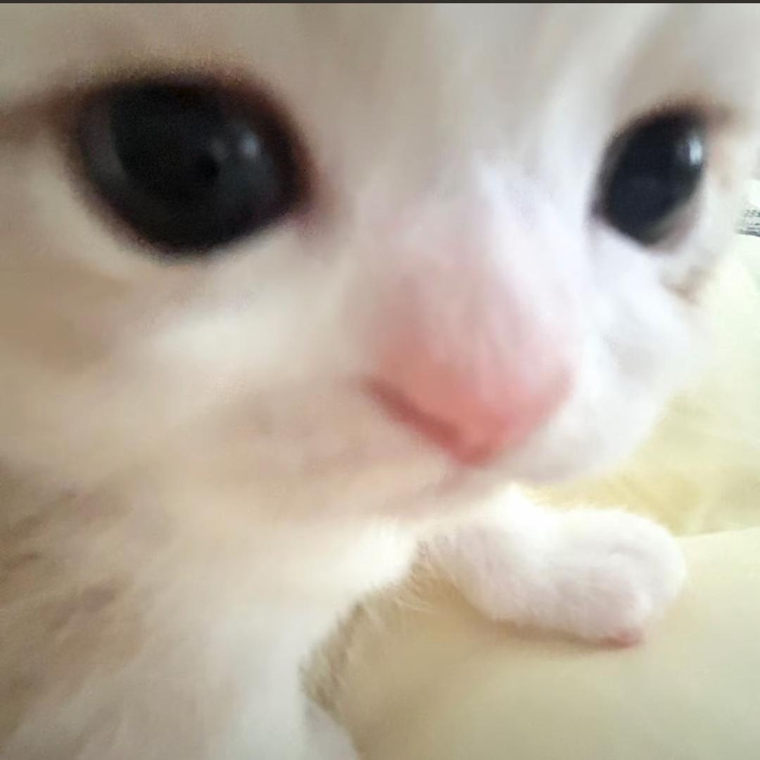 缓缓.