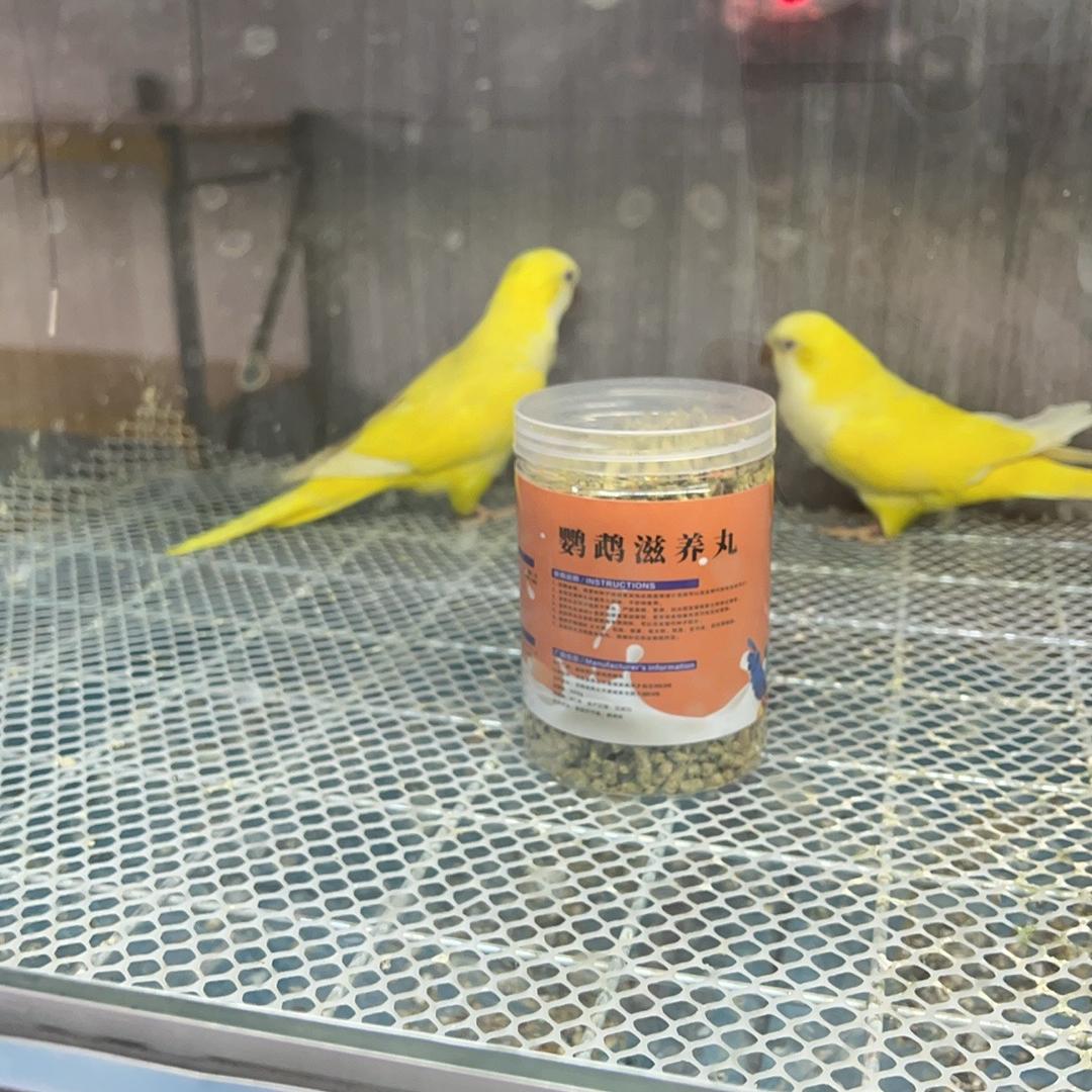 A超萌宠物