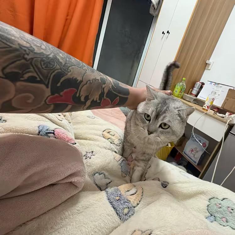 林子