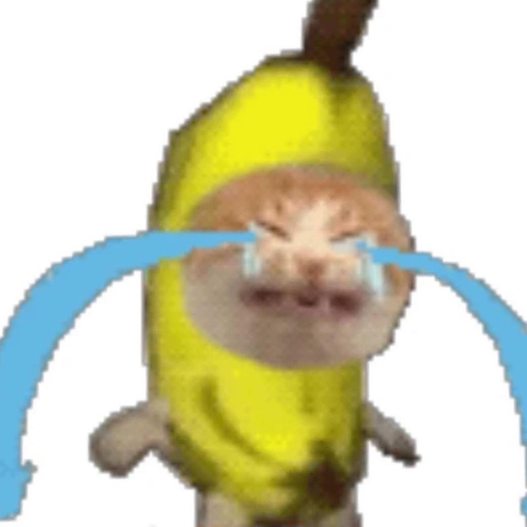 香蕉猫