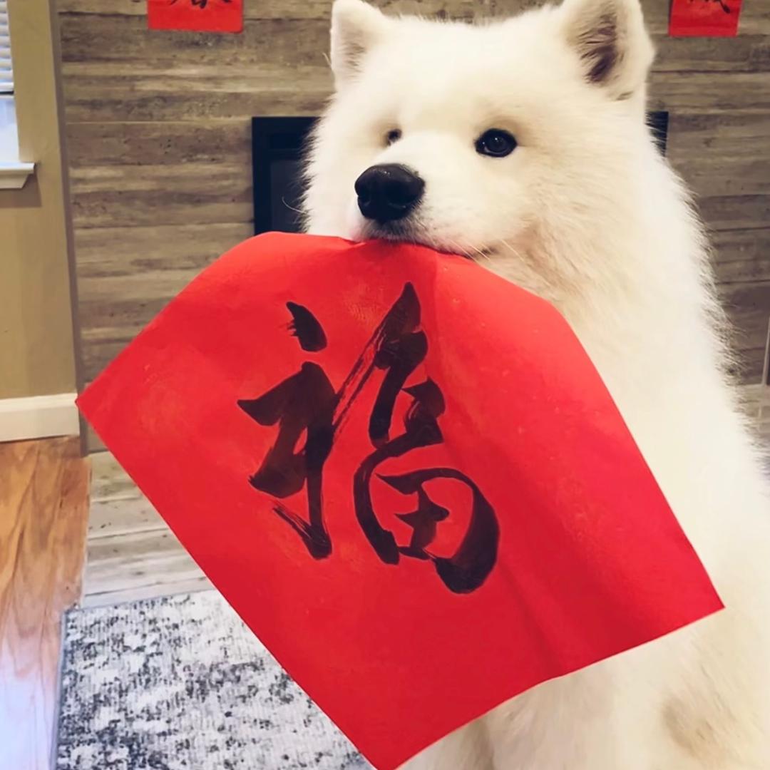 景ovo