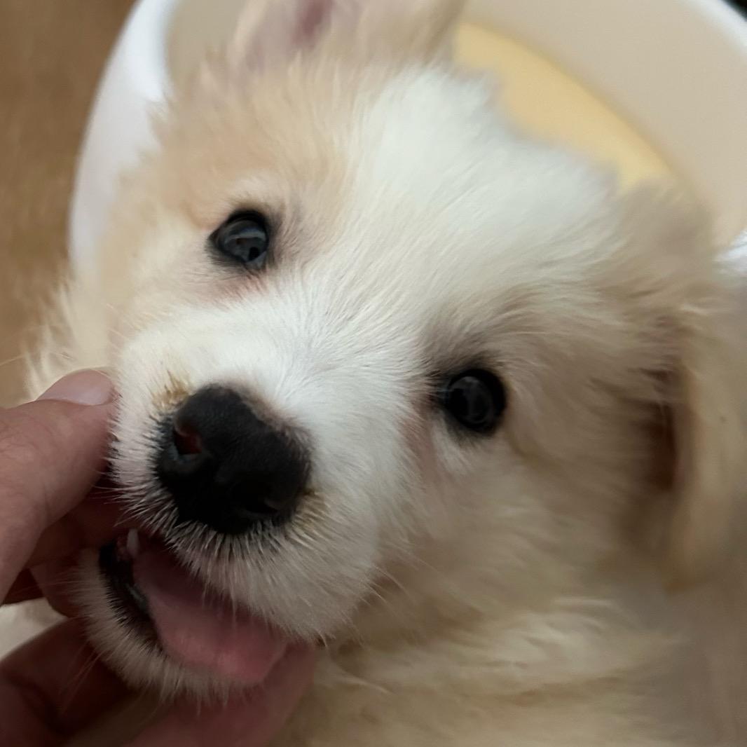 好好睡觉