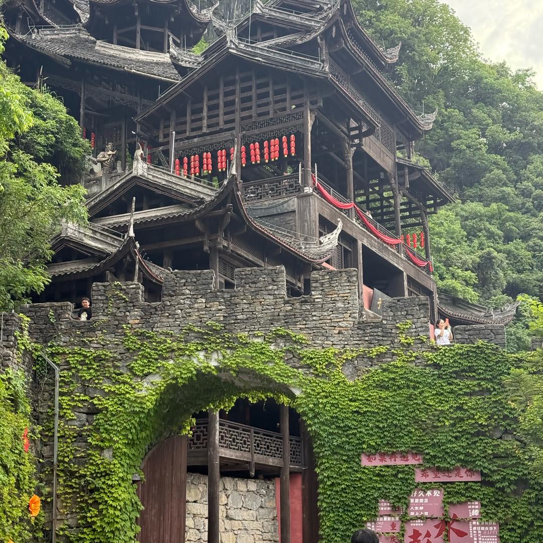 社会资源搬运工