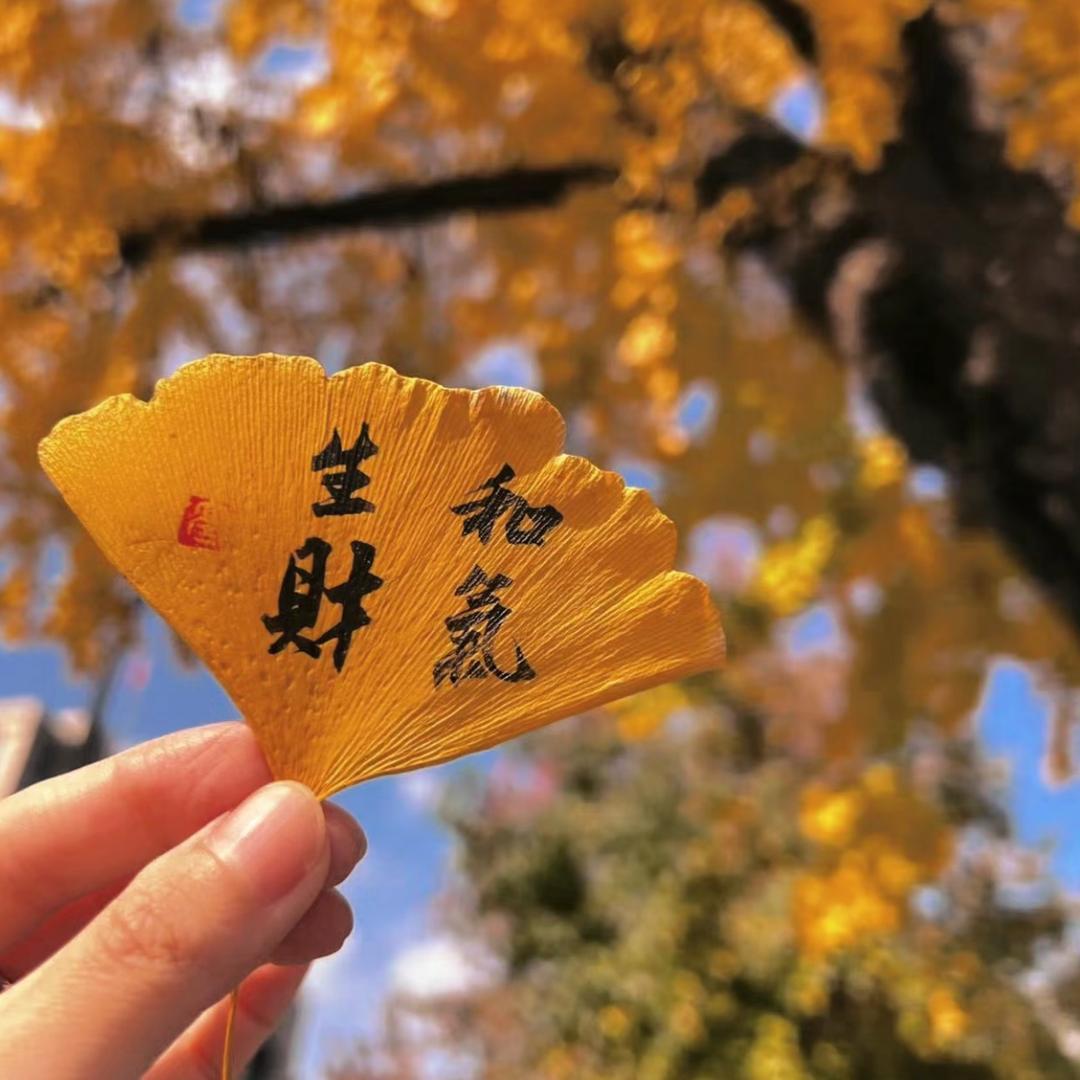 丰烁种业