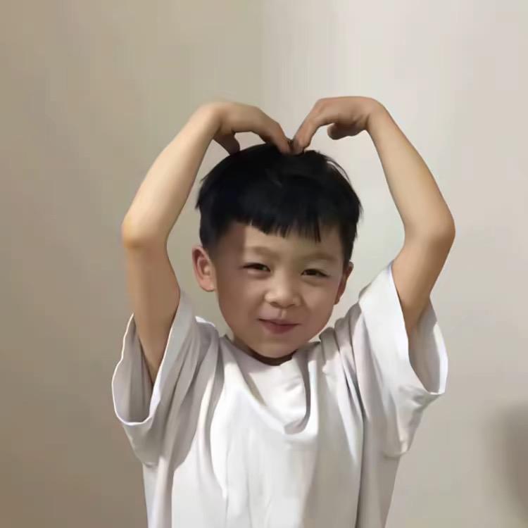子龙
