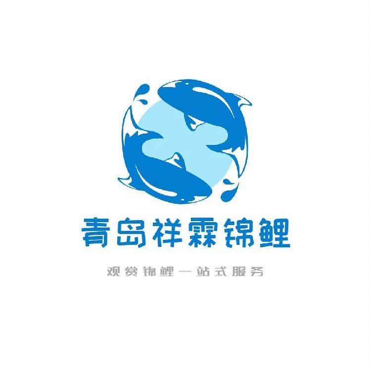 祥霖锦鲤（血统锦鲤）