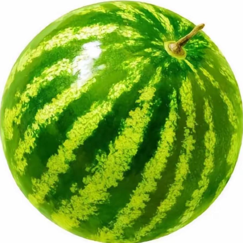 我是一个西瓜🍉