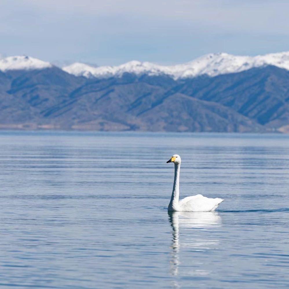 简出色泷居配饰专卖店