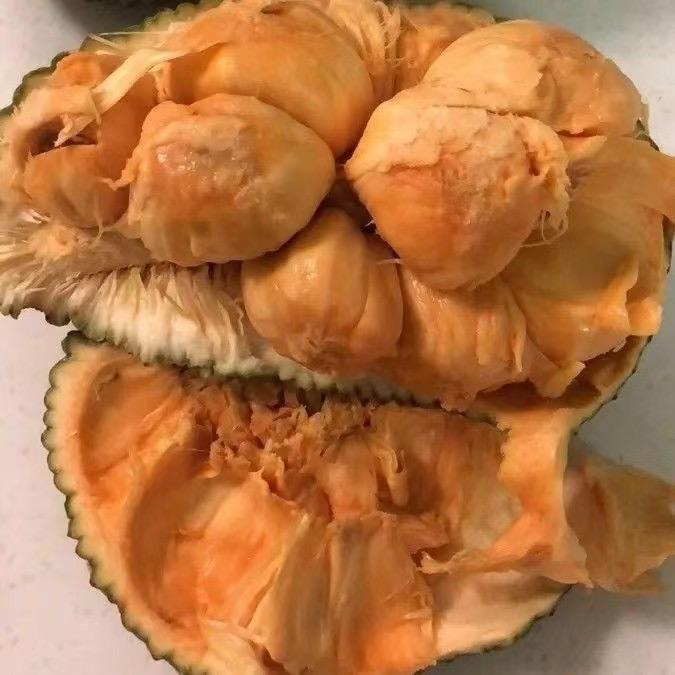 榴莲蜜批发