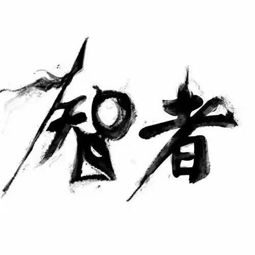 智者见智